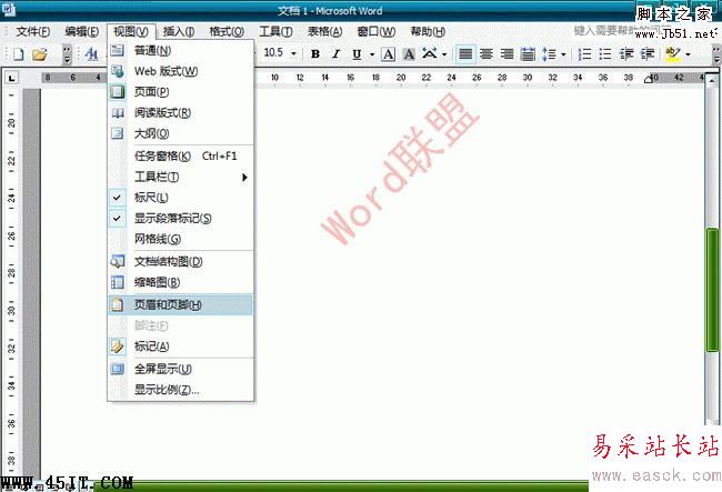 Word2003文档中怎么样去水印