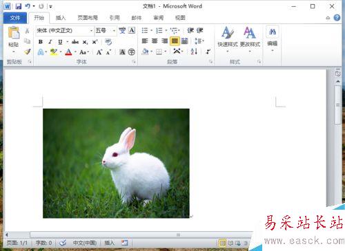 Word2010删除图片背景实现局部提取怎么做