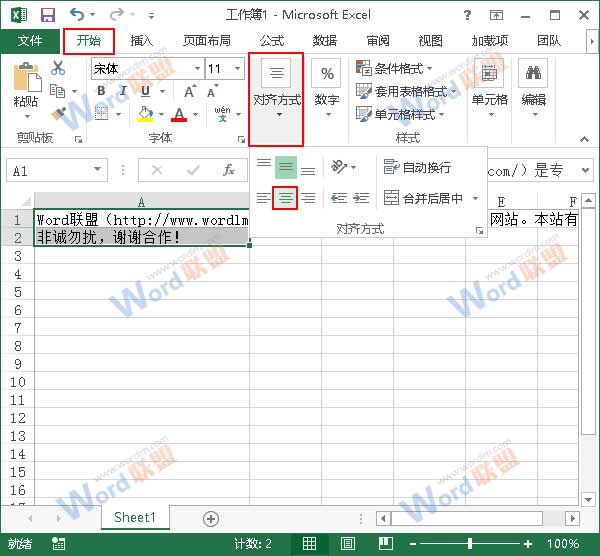 Excel排版技巧