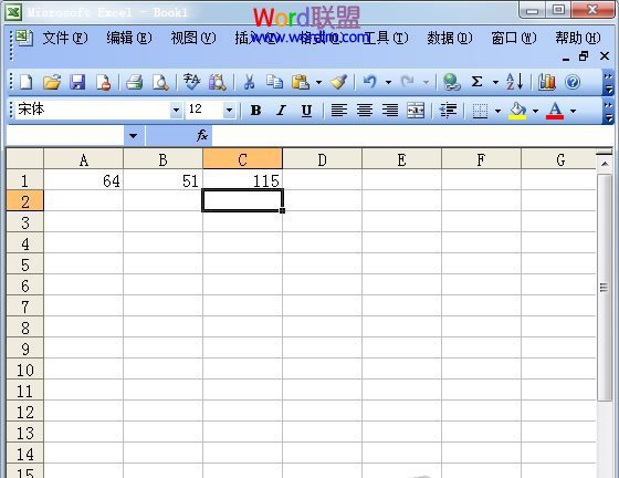 Excel求和得出的结果