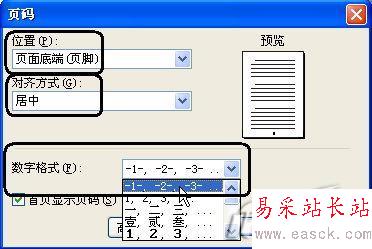 在WPS 2007中插入漂亮的页码样式_错新站长站Vevb.com整理