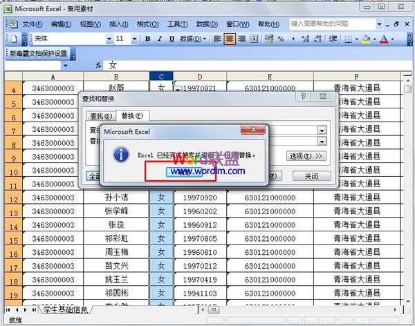 点击“全部替换”按钮