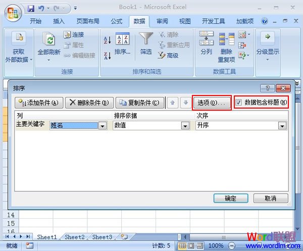 Excel2007如何设置根据笔画排序