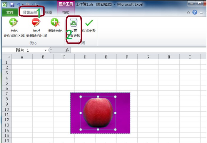 Excel2010技巧:轻松去除图片的背景