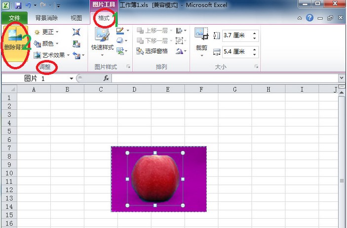 Excel2010技巧:轻松去除图片的背景