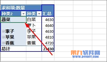 Excel教程 怎样设置数据透视表字段分组方法