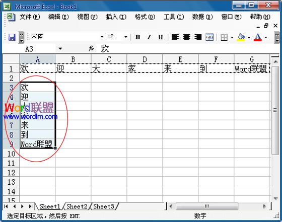 Excel2003中怎么将行中的数据复制到列中