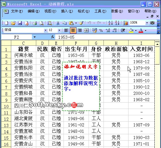 6、在Excel中添加说明文字