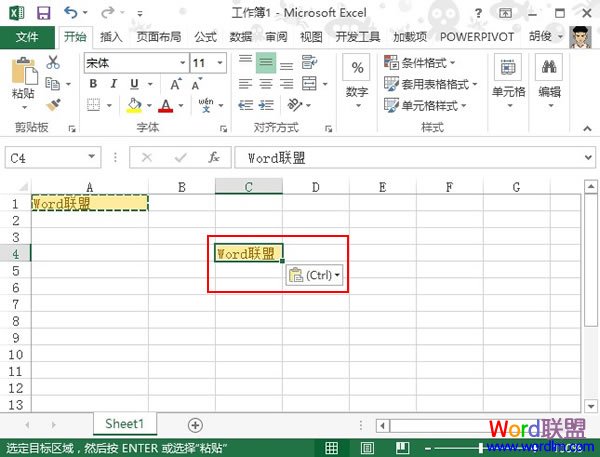 Excel2013单元格复制时让格式不变的两种方法