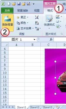 Excel2010也能处理图片教你去除图片的背景