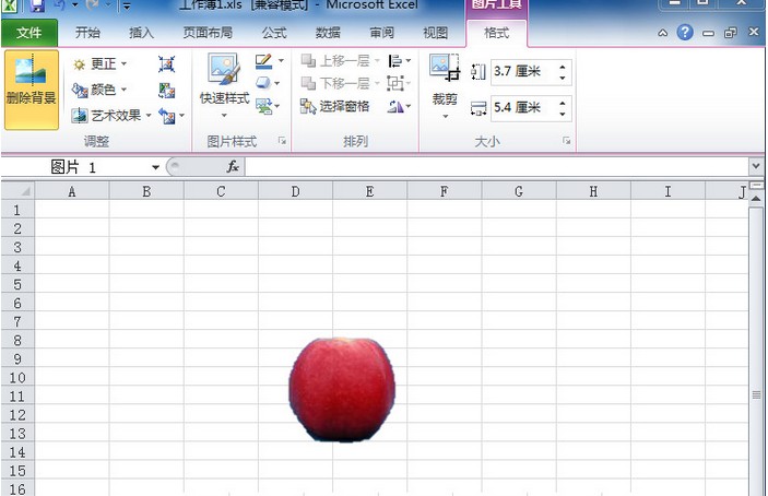 Excel2010技巧:轻松去除图片的背景