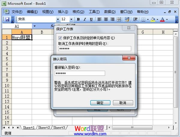 Excel 2003单元格保护设置