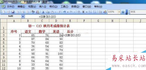 电子表格数据如何求和？RANK如何排名次？