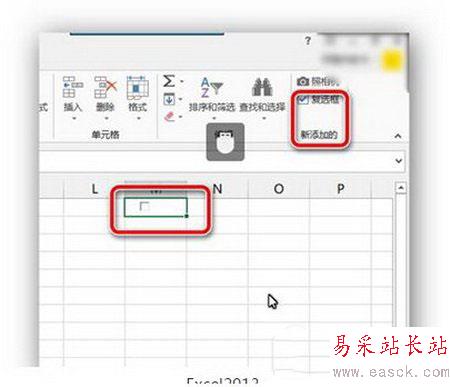 excel2013复选框设置图文教程 excel2013复选框怎么做4