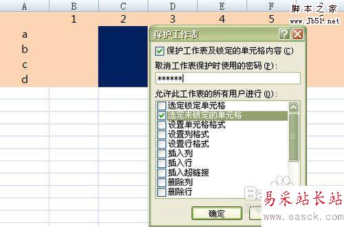 Excel工作表保护设置