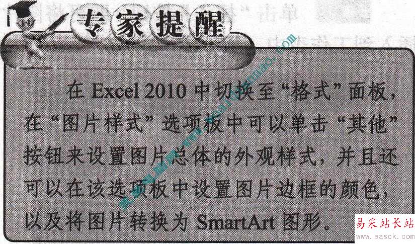 在Excel2010中设置图片属性