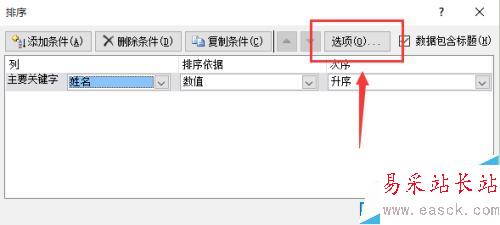 excel 2010教程之表格中的姓名按笔画排序