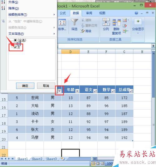 excel2007如何对编辑的内容进行排序和筛选？