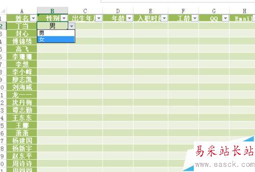 如何设置Excel的数据有效性并提示出错警告