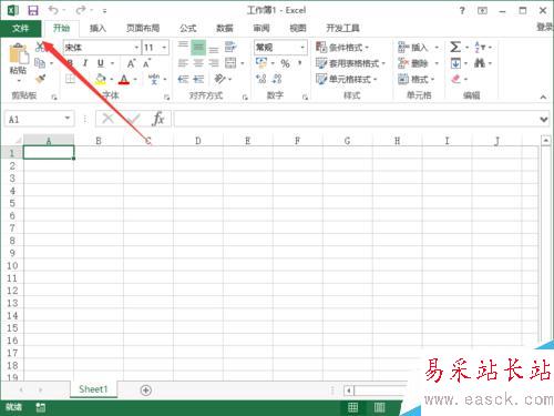 Excel2013中不能输入斜杠的解决方法