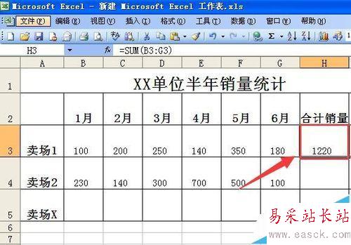 如何利用EXCEL表格求和，并且做成格式化的表格