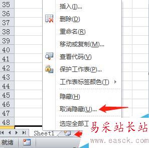 Excel2010怎么隐藏表格？Excel2010隐藏和显示表格教程