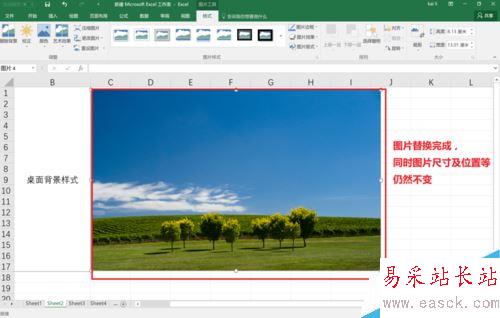 Excel2016怎么替换已插入的图片？Excel2016替换图片教程