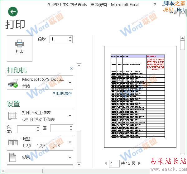 首页打印预览