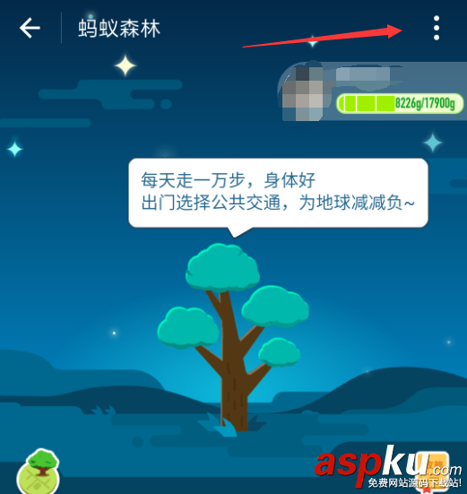 支付宝,蚂蚁森林