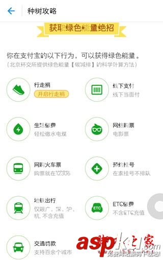 支付宝蚂蚁森林怎么玩,蚂蚁森林怎么刷能量快