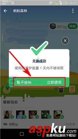 支付宝,能量,保护罩