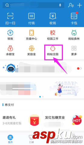 支付宝,蹭饭卡,蚂蚁庄园