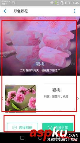 支付宝,扫花识花