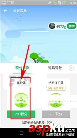 支付宝,能量,保护罩