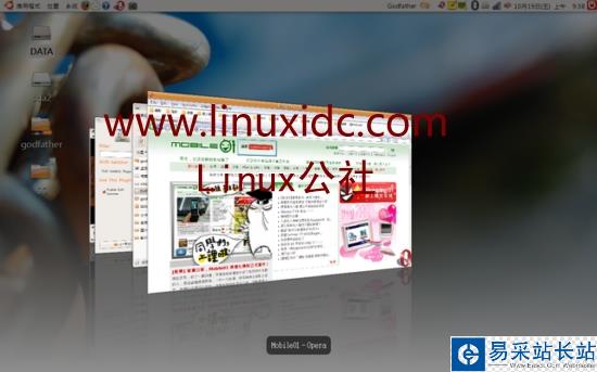 Ubuntu 7.10下启用模拟类Vista的Flip3D视窗切换特效(图)