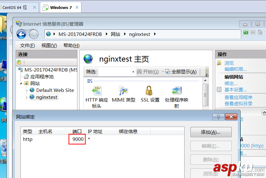 iis,nginx,负载均衡