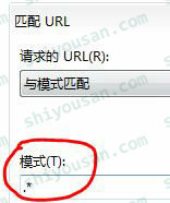 IIS8,URL,Rewrite