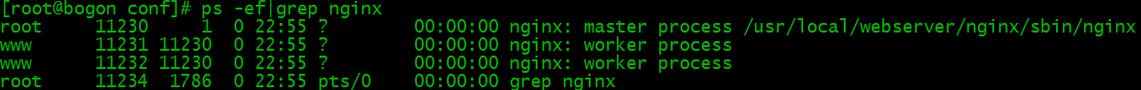 nginx,安装