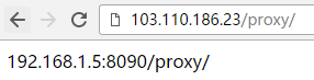 nginx,proxy,pass配置,pass,proxypass,配置