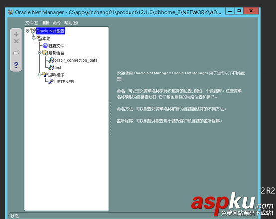 Windows,Sever,2012,Oracle,12c