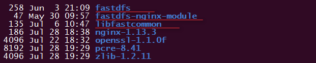 nginx,1.13.3配置,FastDFS,安装,配置