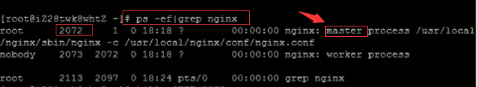 Nginx,端口被占用,Address,already