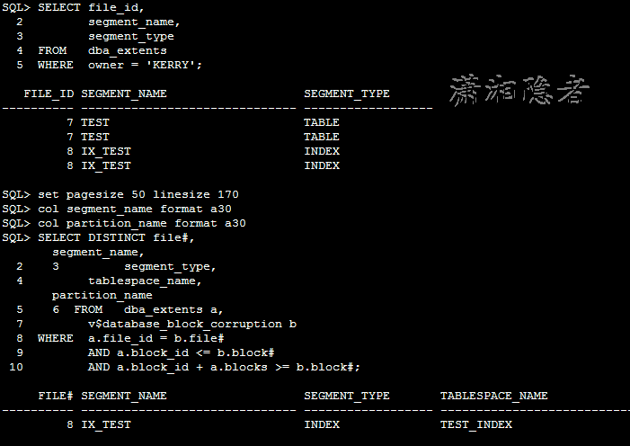 ORACLE,检查,损坏,索引,Corrupt,Indexes