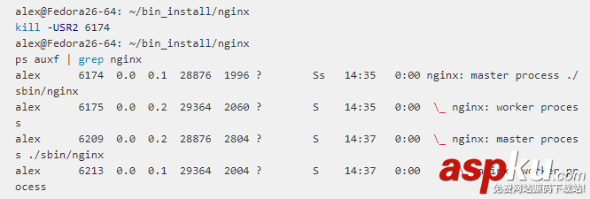 nginx,信号集