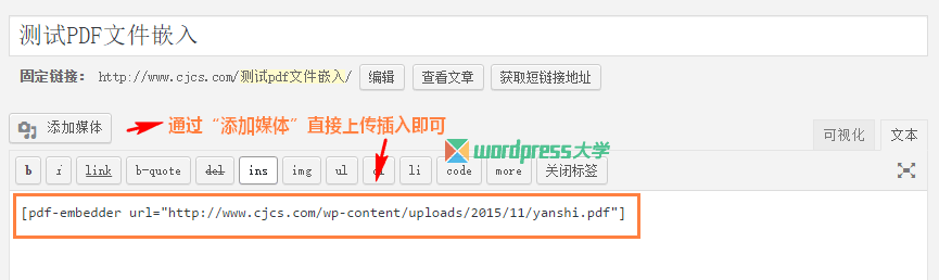 WordPress 使用 PDF Embedder 直接嵌入显示PDF文件