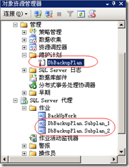 SQL,Server,自动备份