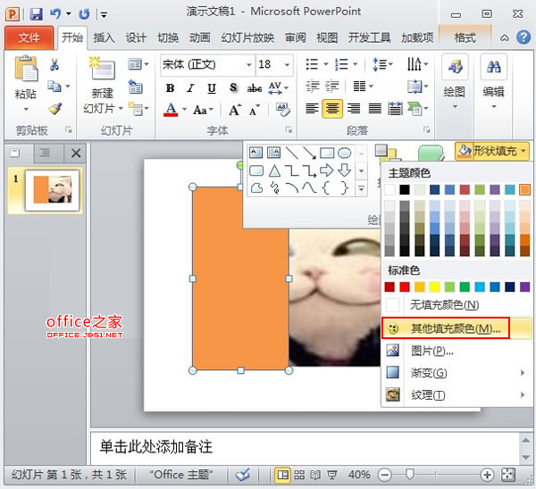 PowerPoint2010中图片的透明遮罩技巧