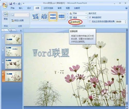 powerpoint2007设置图片的切换效果