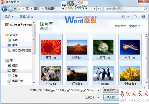 如何批量将图片快速导入到PowerPoint2013中