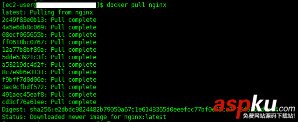 docker,入门教程